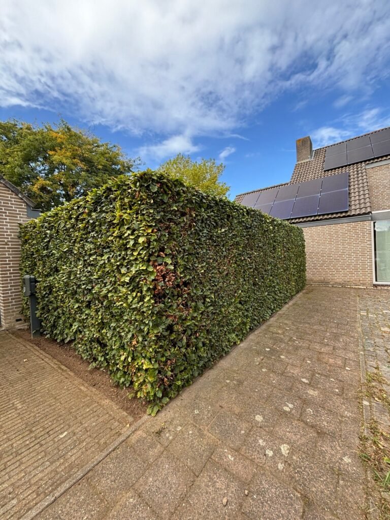 Tuinproject door Hoveniersbedrijf Excellent Tuin Onderhoud