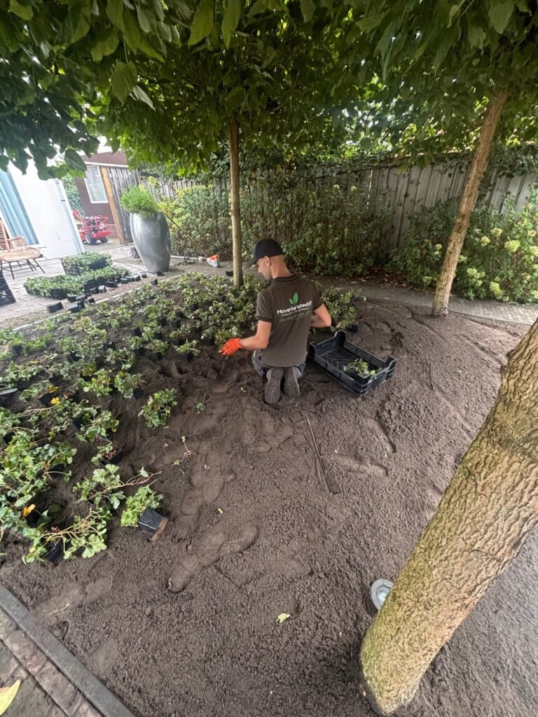 Hovenier aan het werk door Hoveniersbedrijf Excellent Tuin Onderhoud