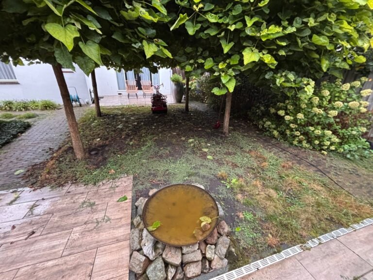 Tuinproject door Hoveniersbedrijf Excellent Tuin Onderhoud