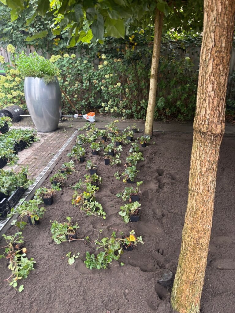 Tuinproject door Hoveniersbedrijf Excellent Tuin Onderhoud