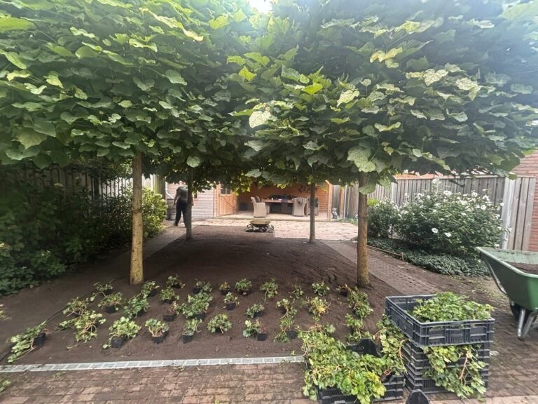 Tuinproject door Hoveniersbedrijf Excellent Tuin Onderhoud