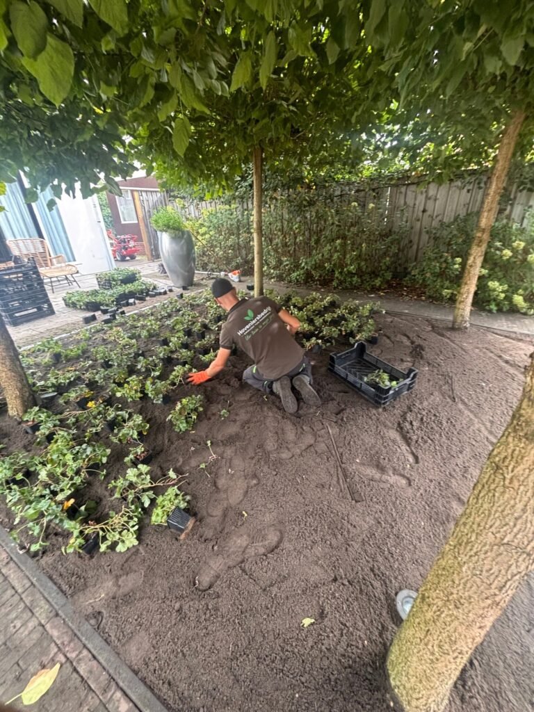 Tuinproject door Hoveniersbedrijf Excellent Tuin Onderhoud