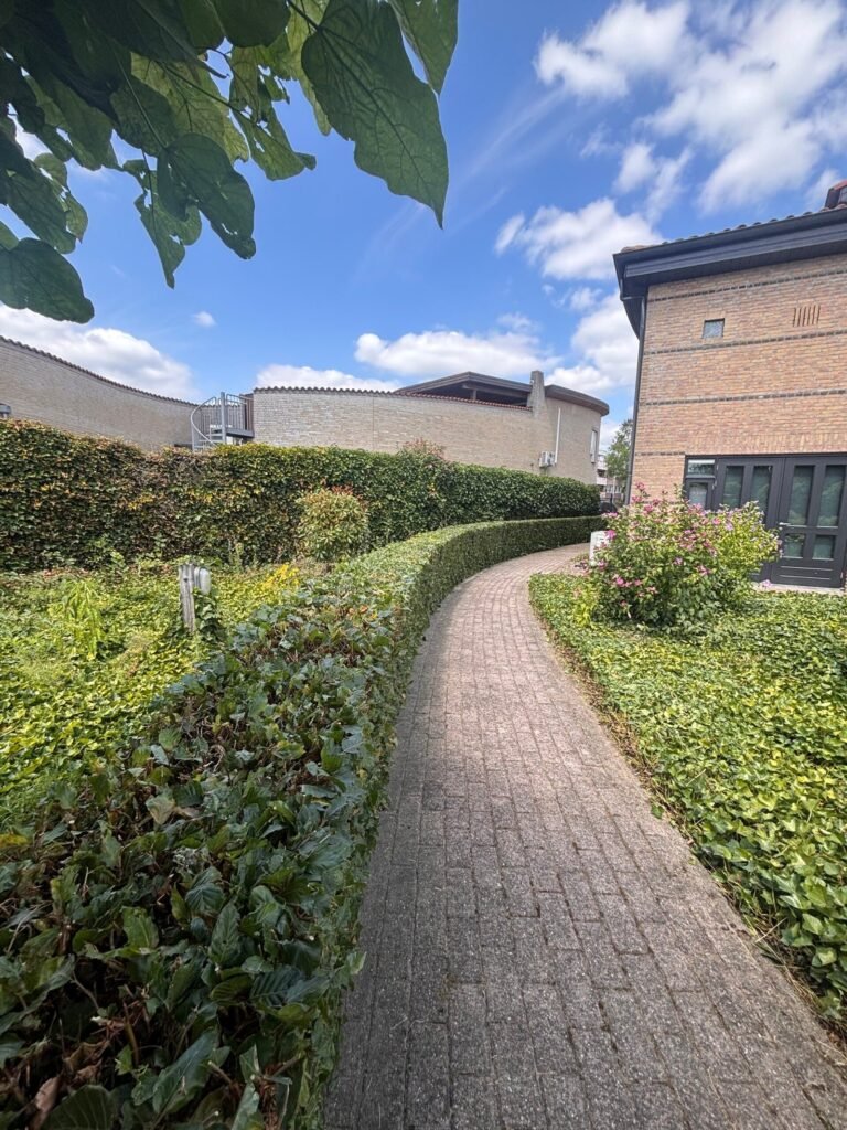 Tuinproject door Hoveniersbedrijf Excellent Tuin Onderhoud