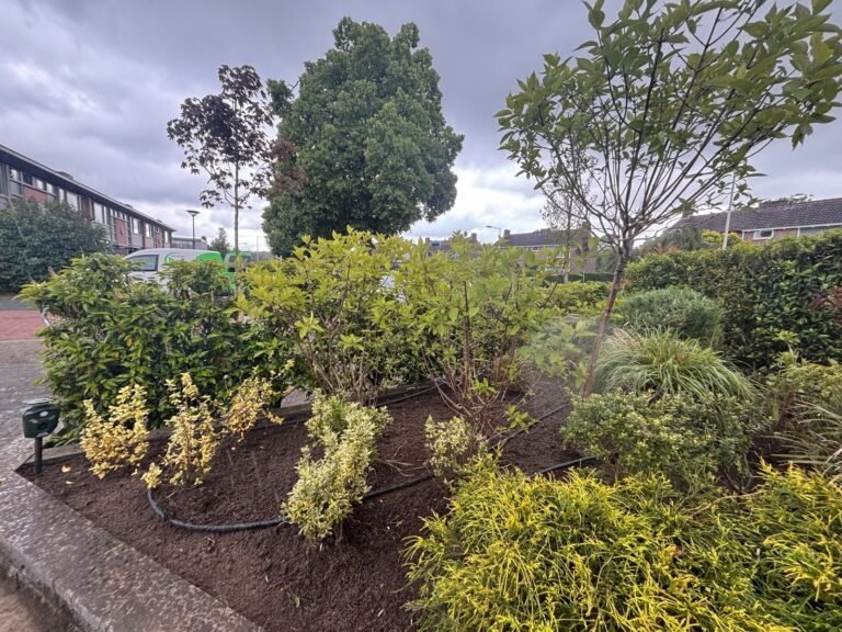 Tuinproject door Hoveniersbedrijf Excellent Tuin Onderhoud