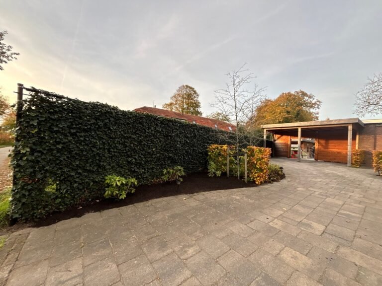 Tuinproject door Hoveniersbedrijf Excellent Tuin Onderhoud
