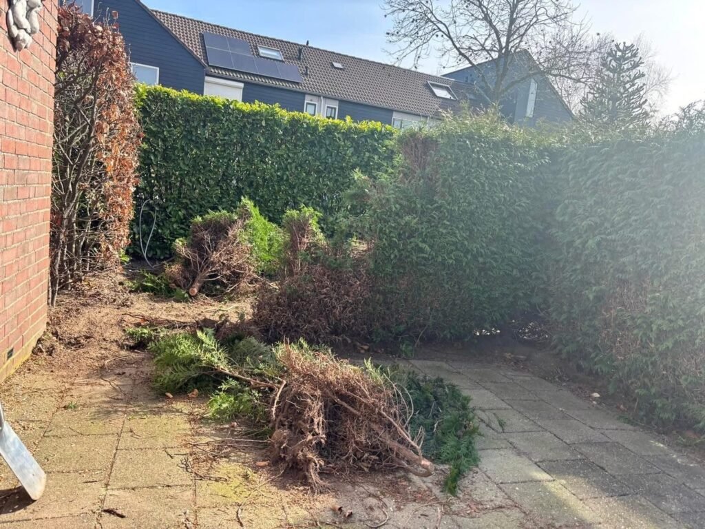 Tuinproject door Hoveniersbedrijf Excellent Tuin Onderhoud