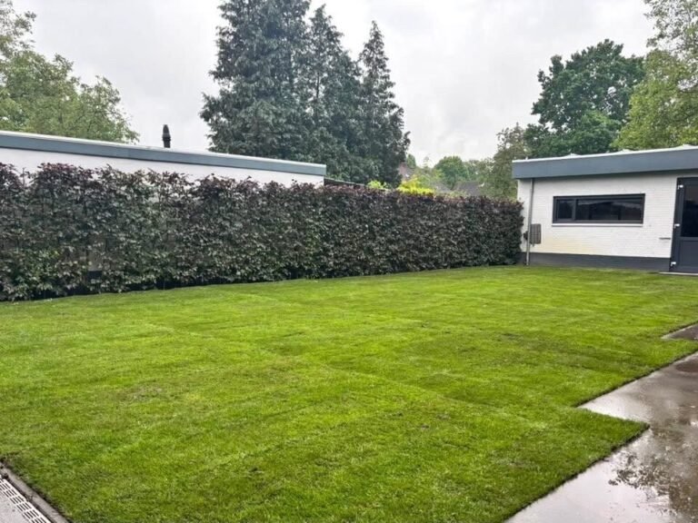 Tuinproject door Hoveniersbedrijf Excellent Tuin Onderhoud