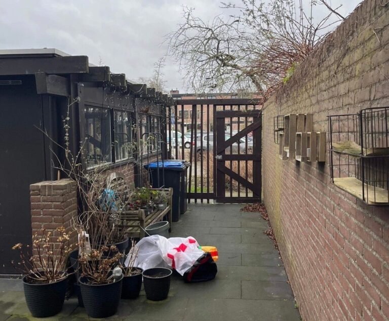 Tuinproject door Hoveniersbedrijf Excellent Tuin Onderhoud