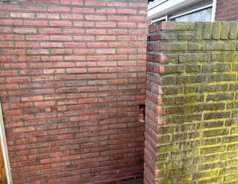 Tuinproject door Hoveniersbedrijf Excellent Tuin Onderhoud