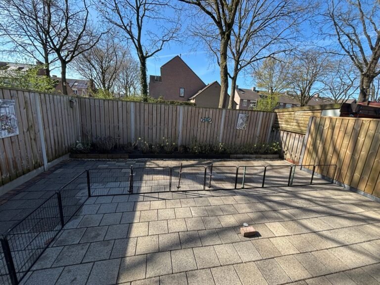 Bestrating reinigen door Hoveniersbedrijf Excellent Tuin Onderhoud