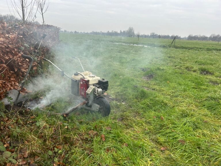 Gezond gazon door Hoveniersbedrijf Excellent Tuin Onderhoud