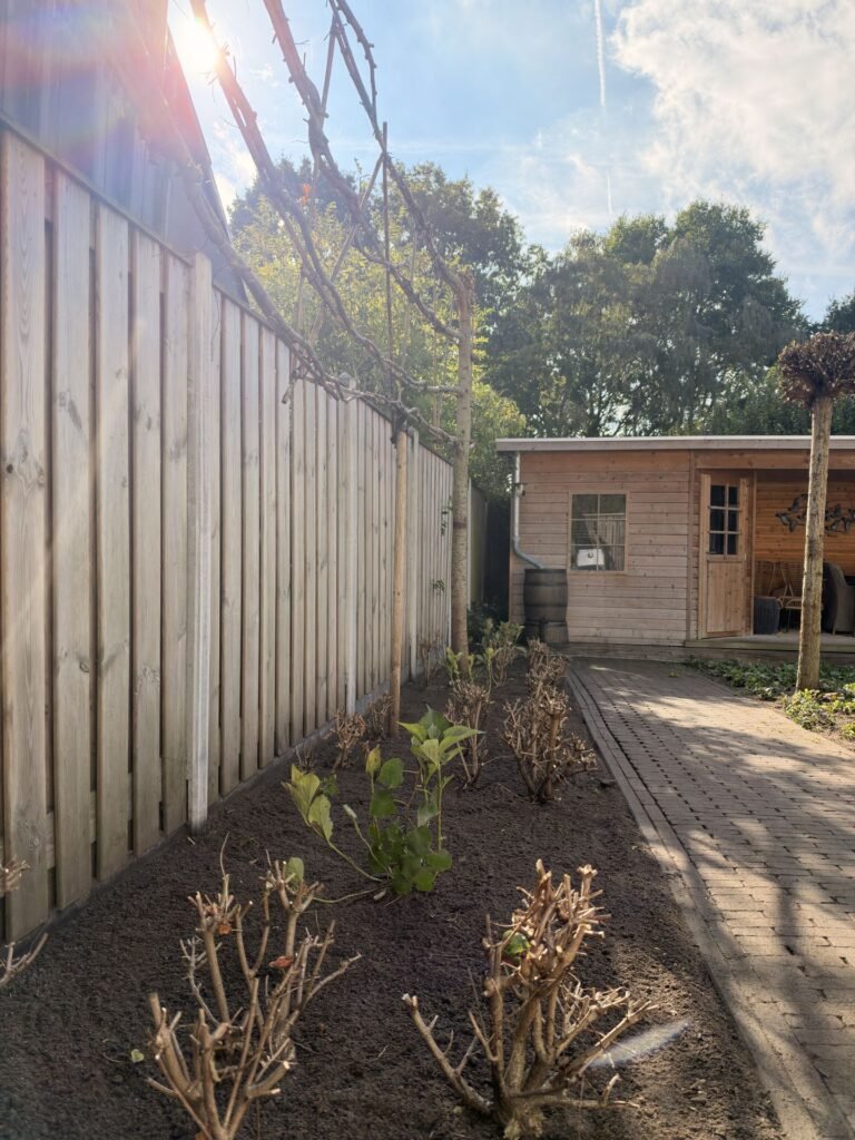Beplanting langs de schutting richting het tuinhuis door Excellent Tuin Onderhoud