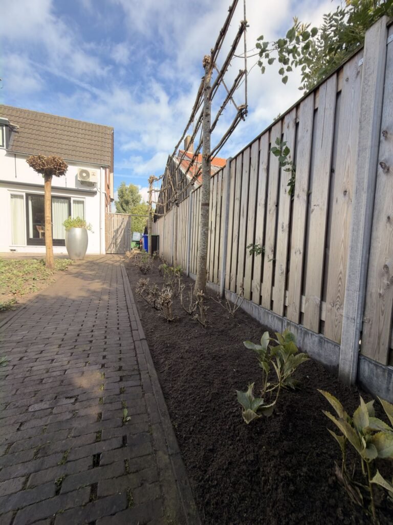 Nieuwe border met beplanting langs een houten schutting door Excellent Tuin Onderhoud