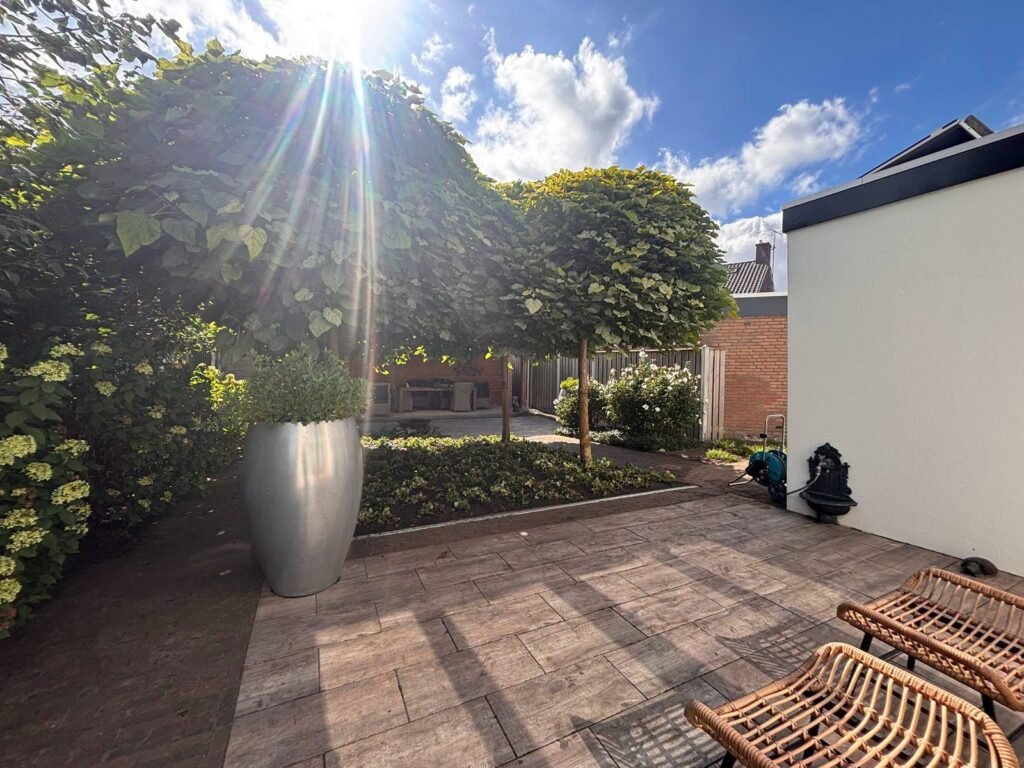 Achtertuin met terras en beplanting