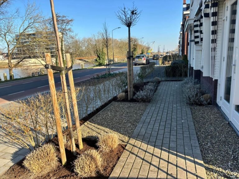 Jonge bomen geplant langs een tegelpad, met boompalen door Excellent Tuin Onderhoud