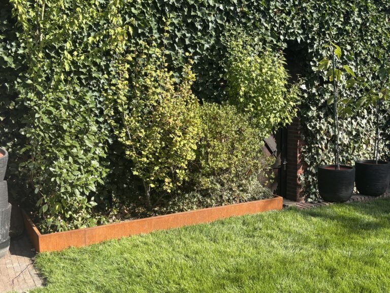 Klimophaag met cortenstalen rand langs het gazon door Excellent Tuin Onderhoud