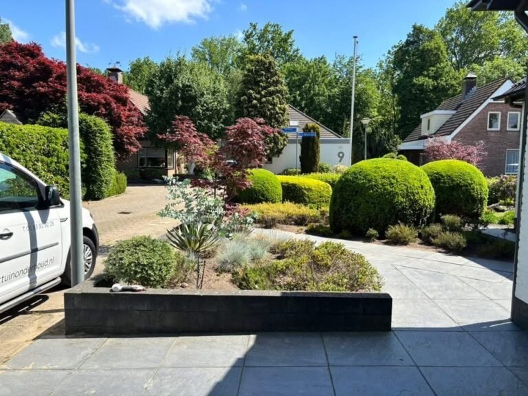 Voortuin met buxusbollen, borders en bestrating door Excellent Tuin Onderhoud